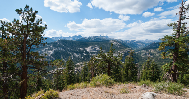Woods with the mountain in the background. This is a great nontraditional funeral idea for someone who wants their ashes scattered in nature.